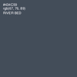 #434C59 - River Bed Color Image